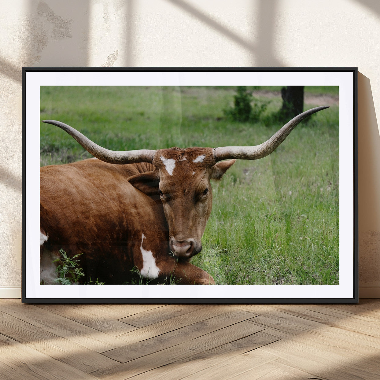 MGC-FP-36x24 - Longhorn Cow Animal Wall Art Canvas Print