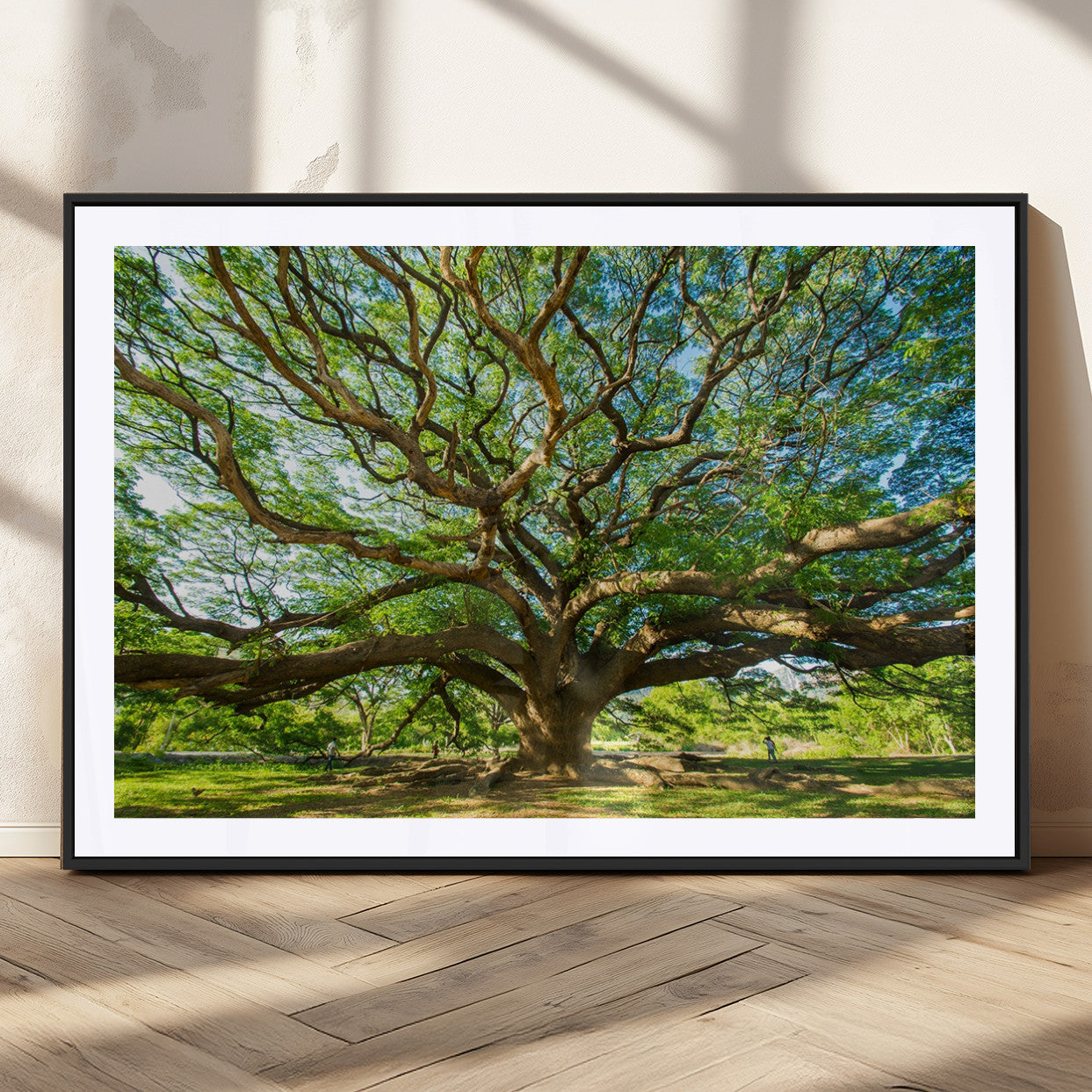 MGC-FP-36x24 - Angel Oak Tree Wall Art | Oak Canvas Print | Multi Panel Landscape Wall Art | Ready to Hang Wall Art
