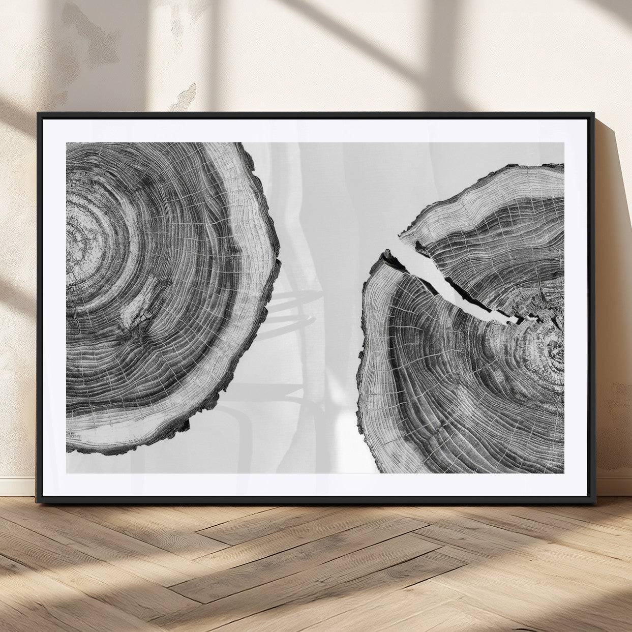 MGC-FP-36x24 - Abstract Large Tree Rings – Minimalist Black and White Wood Art | Triptych Canvas, Modern Wall Decor