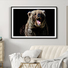17625-MGC-FP-36x24_Black-Grizzly Bear Canvas Print | Wildlife Wall Art for Cabin Decor | Ready to Hang Framed