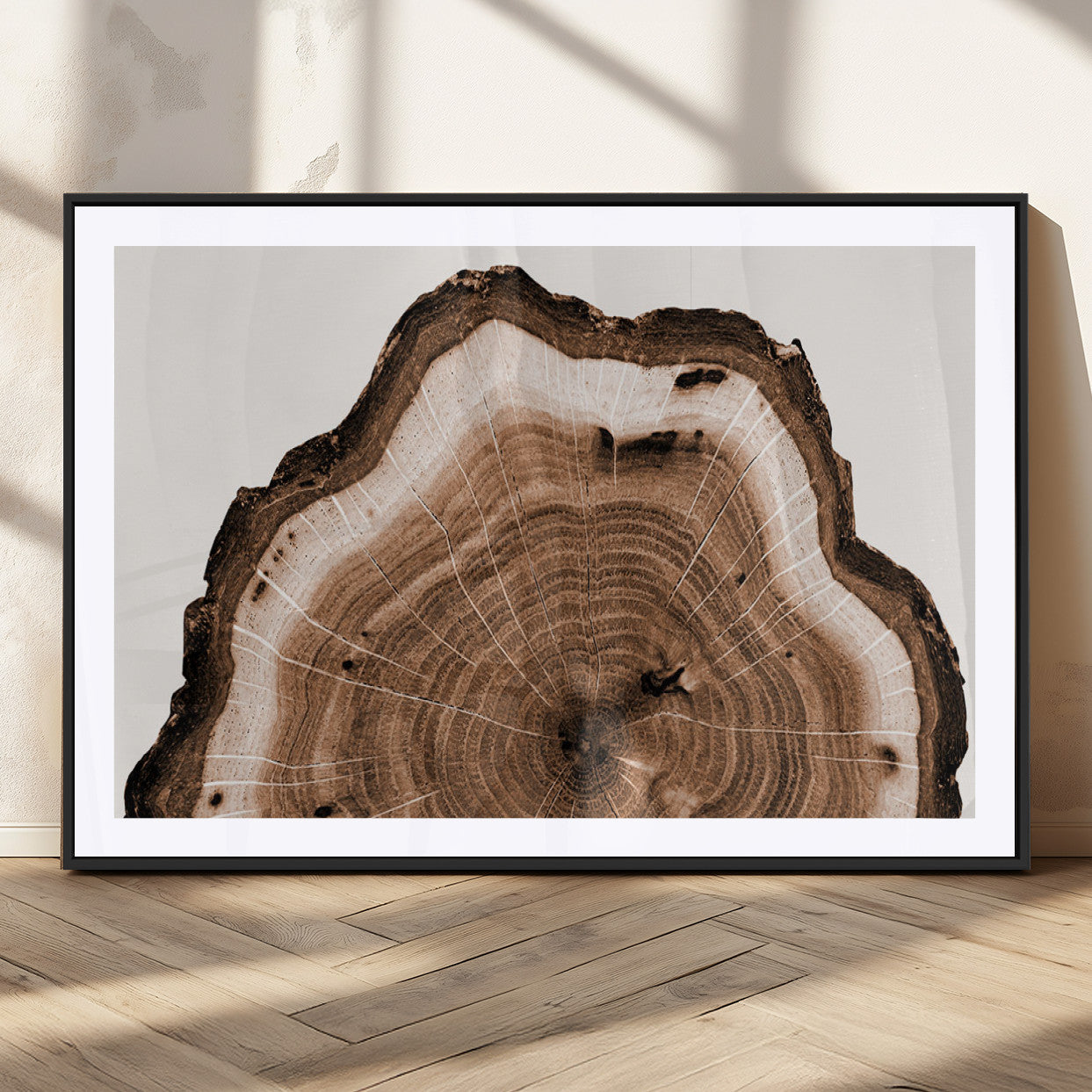 45195-MGC-FP-36x24_Black-Rustic Wood Rings Wall Art | Nature-Inspired Tree Ring Canvas Print | Ready to Hang and Framed for