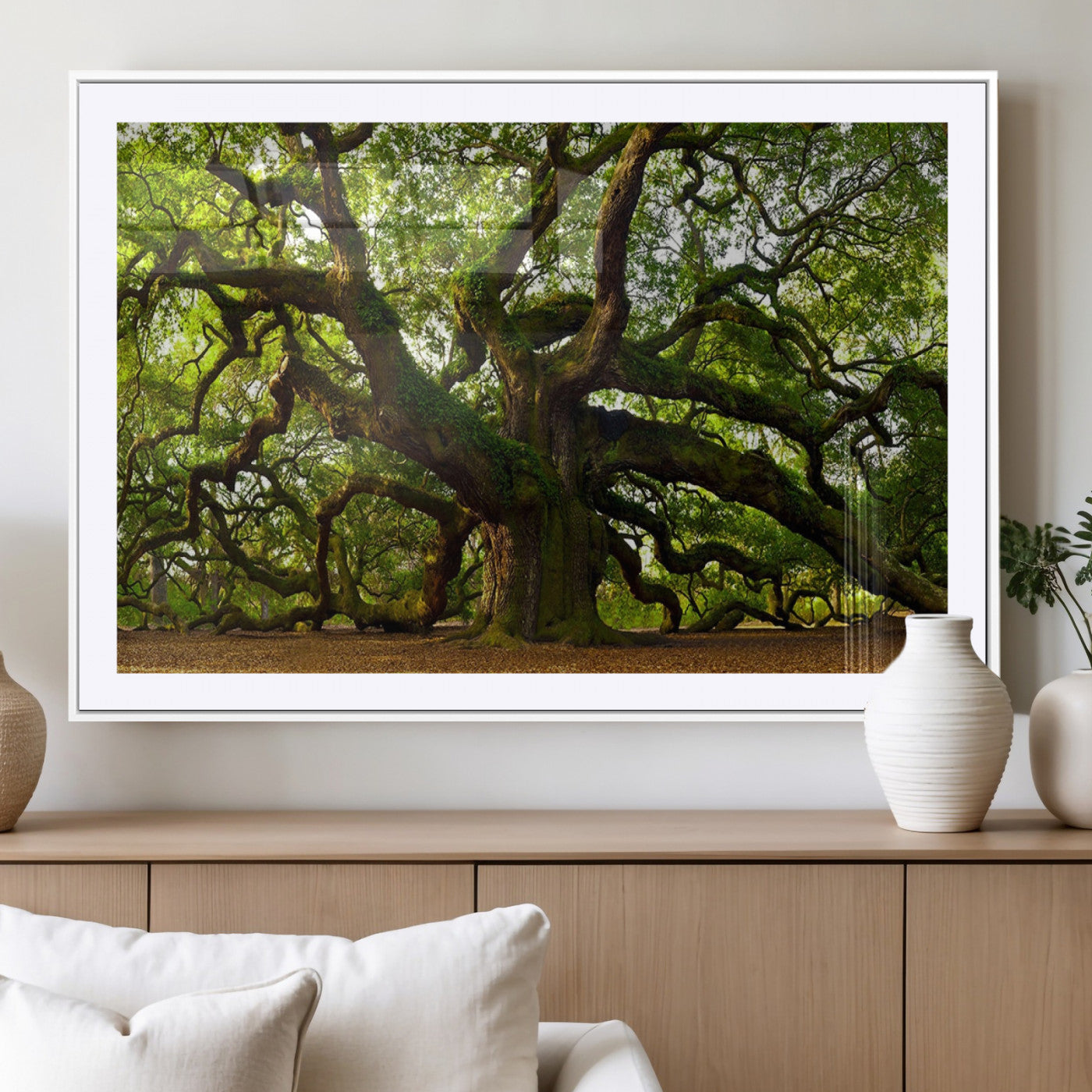 MGC-FP-36x24 - Angel Oak Tree Wall Art Canvas Print | Forest Tree Nature Photography Print on Canvas | Large