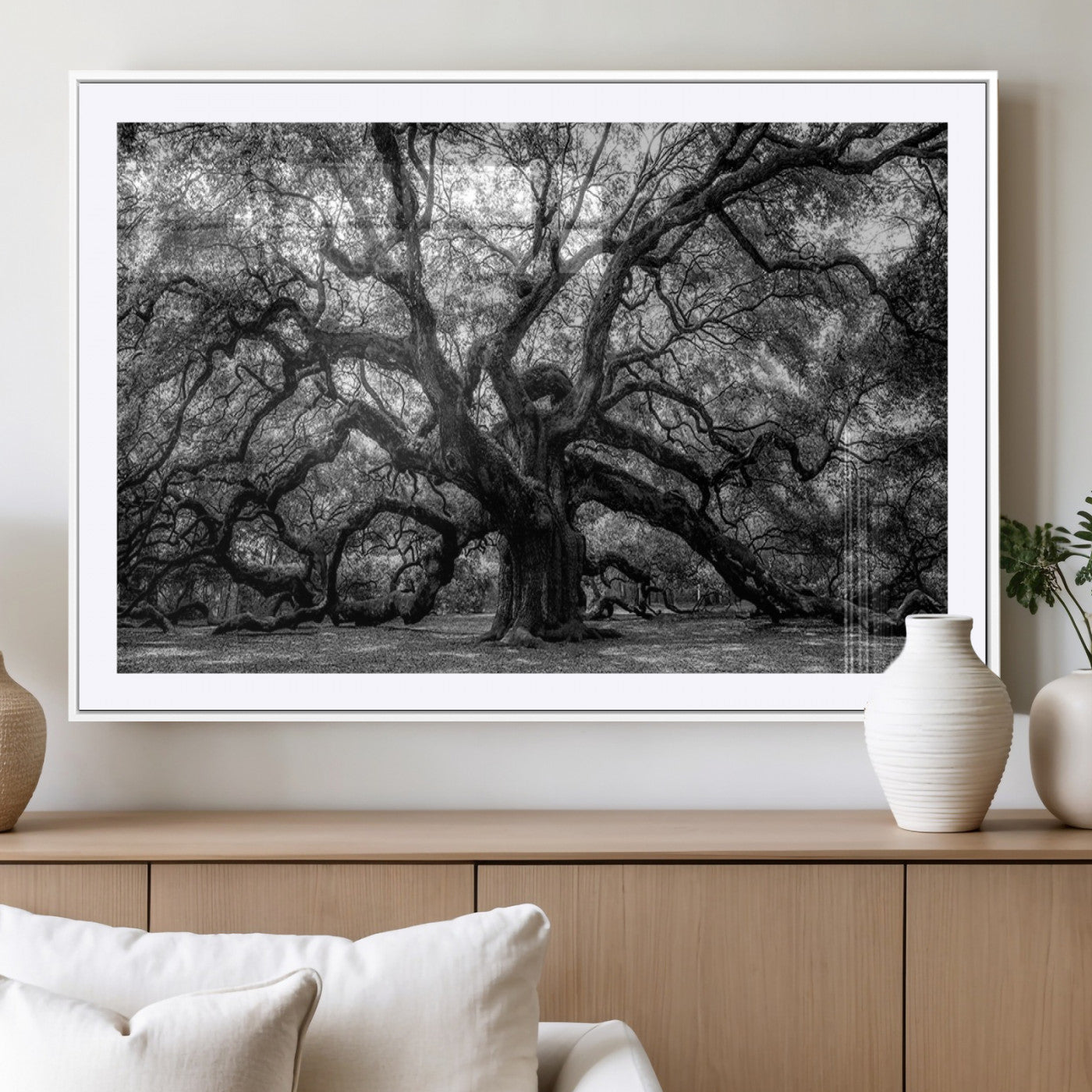 MGC-FP-36x24 - Black and White Old Angel Oak Tree Wall Art Canvas Print