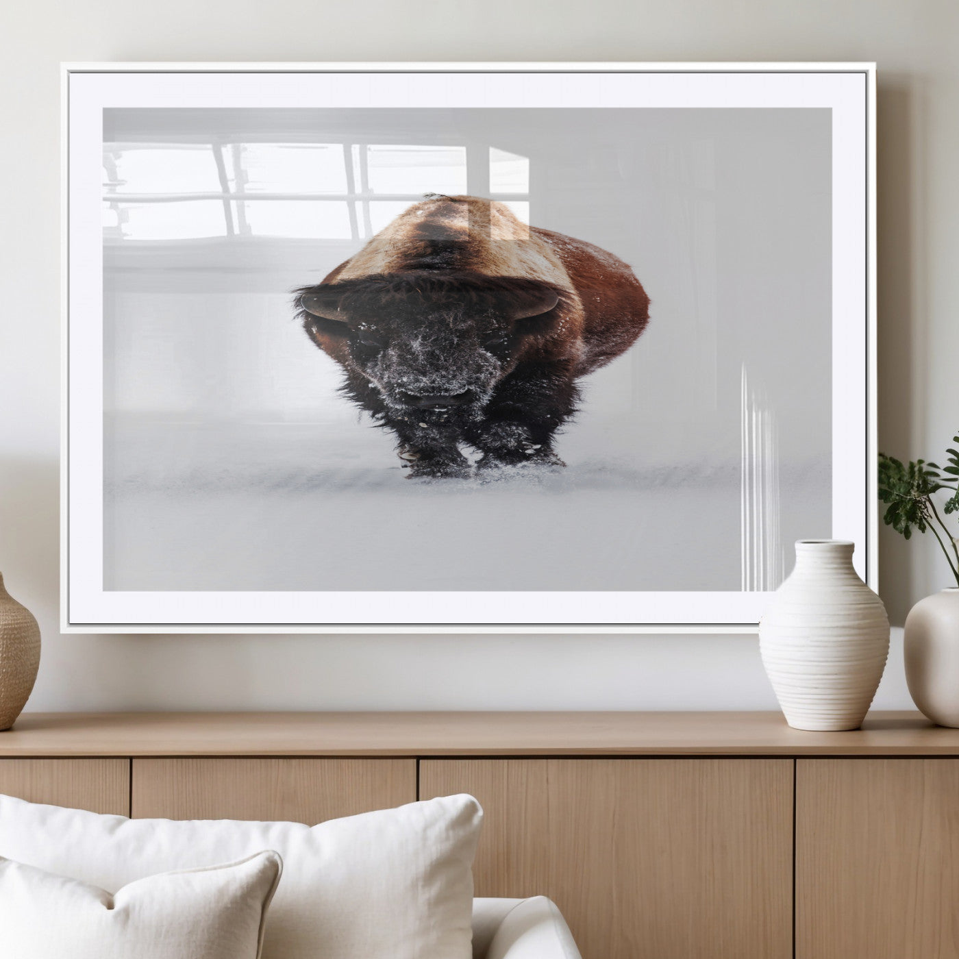 Front view of a strong bison walking in deep snow, isolated white background, perfect for rustic or lodge-style home decor.