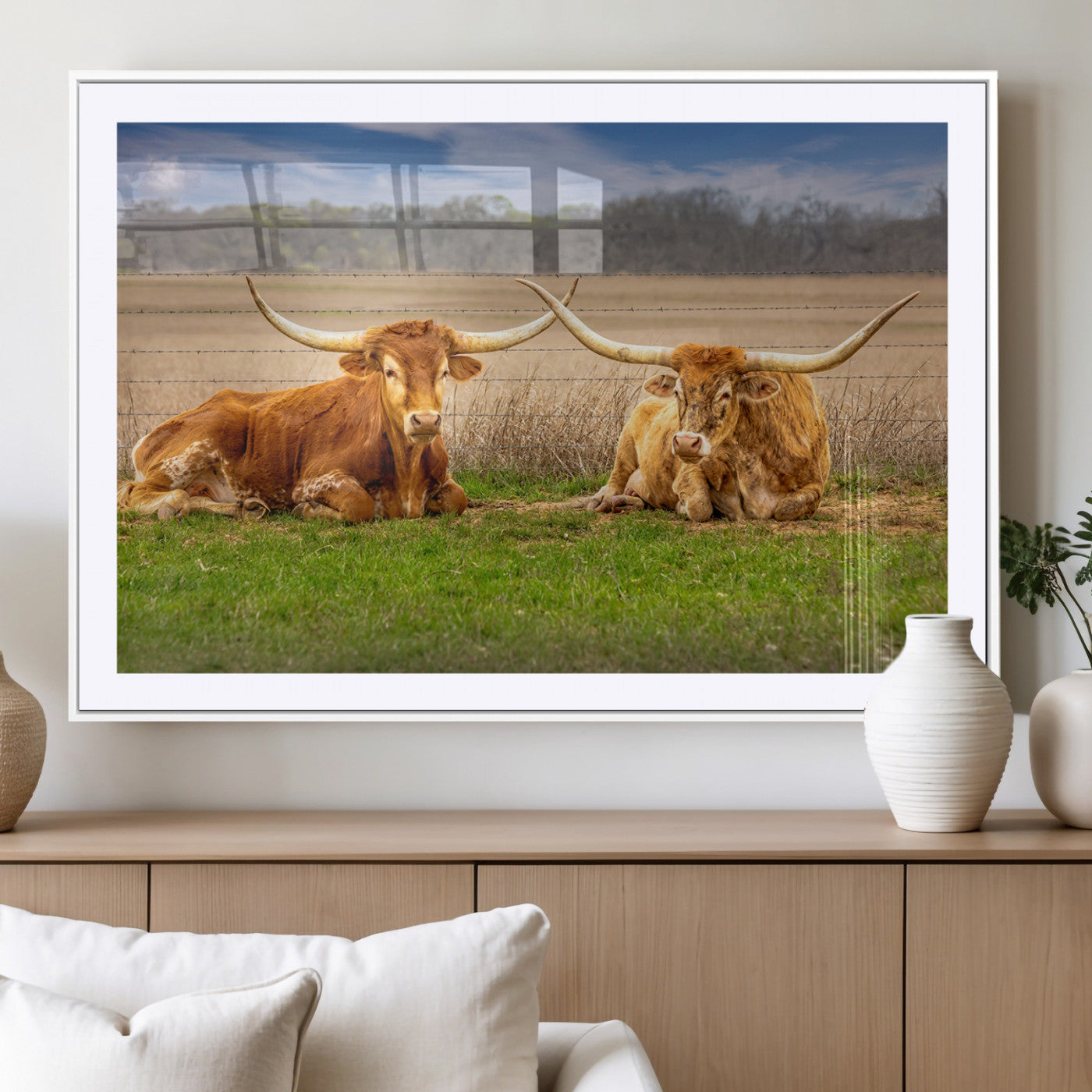 Two longhorn cattle resting on green grass in a rural field with a barbed wire fence and blurred trees in the background.