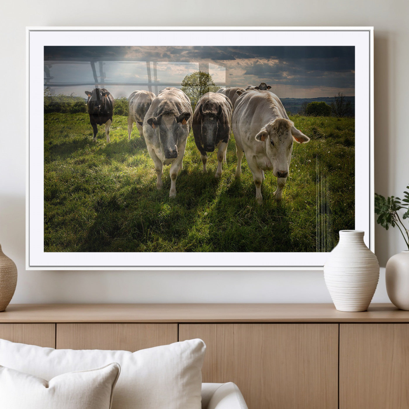 67277447-MGC-FP-40x30_White-Grazing Cattle Herd Pasture Green Field Livestock Natural Farm Animals Rural Life Outdoor Wall Art Canvas Print