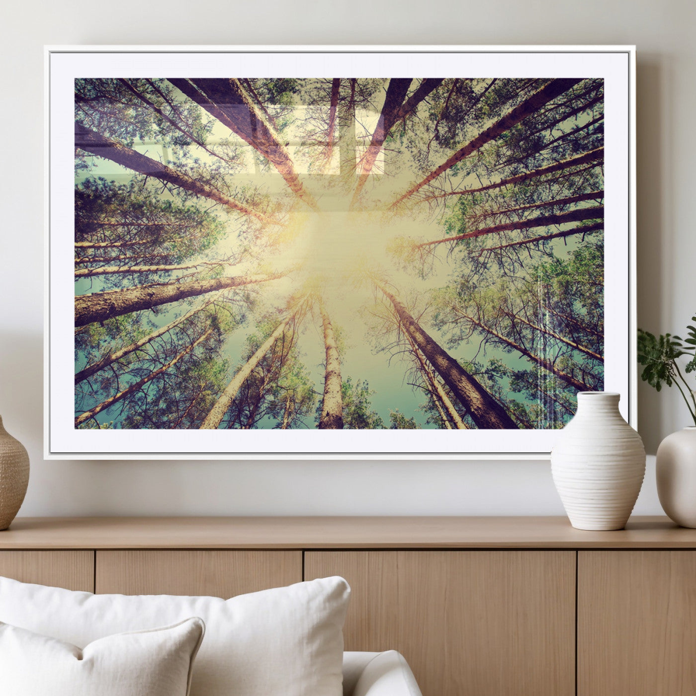 MGC-FP-36x24 - Tree and Sunshine Canvas Print