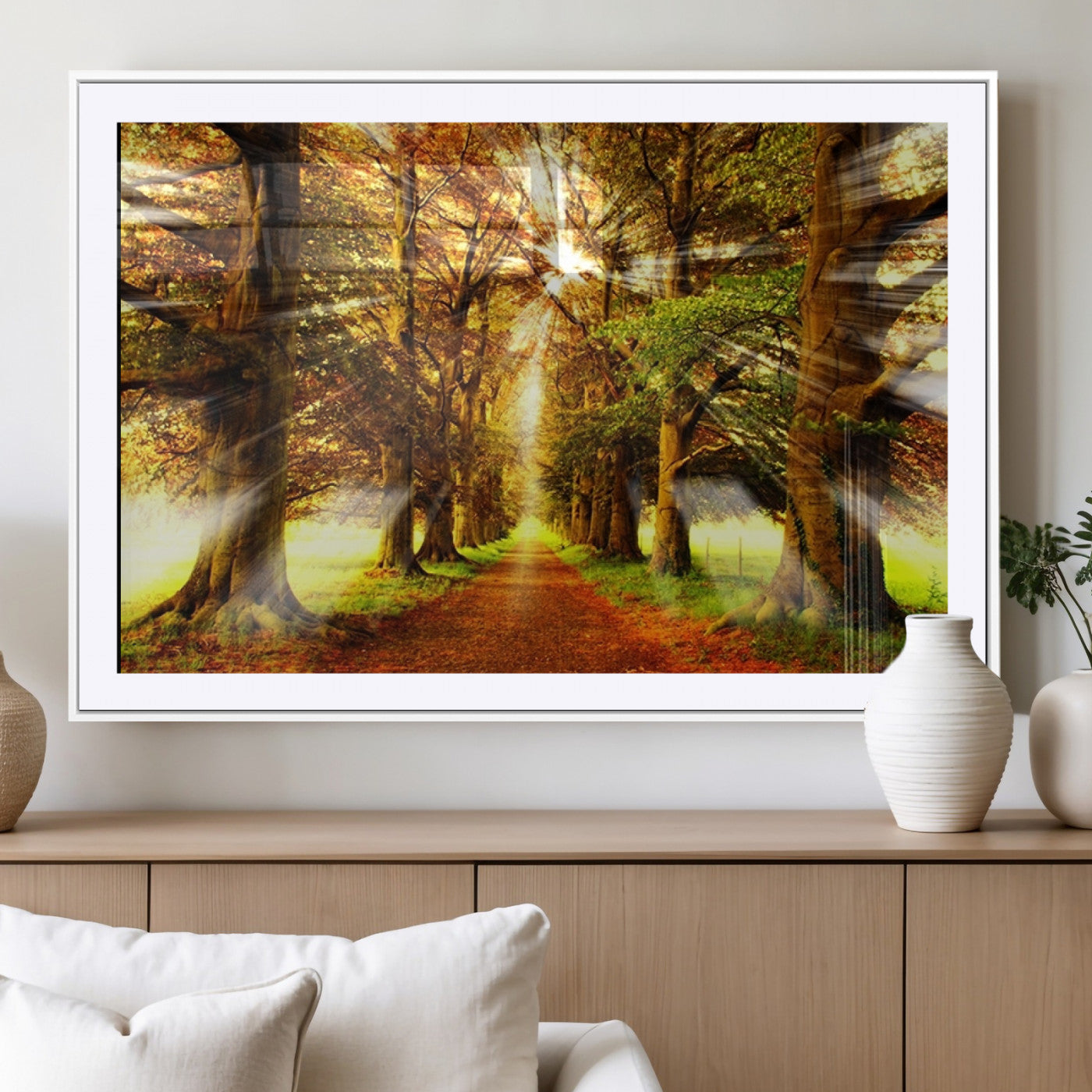 MGC-FP-36x24 - Sunshine in Forest and Trees Wall Art Canvas Print