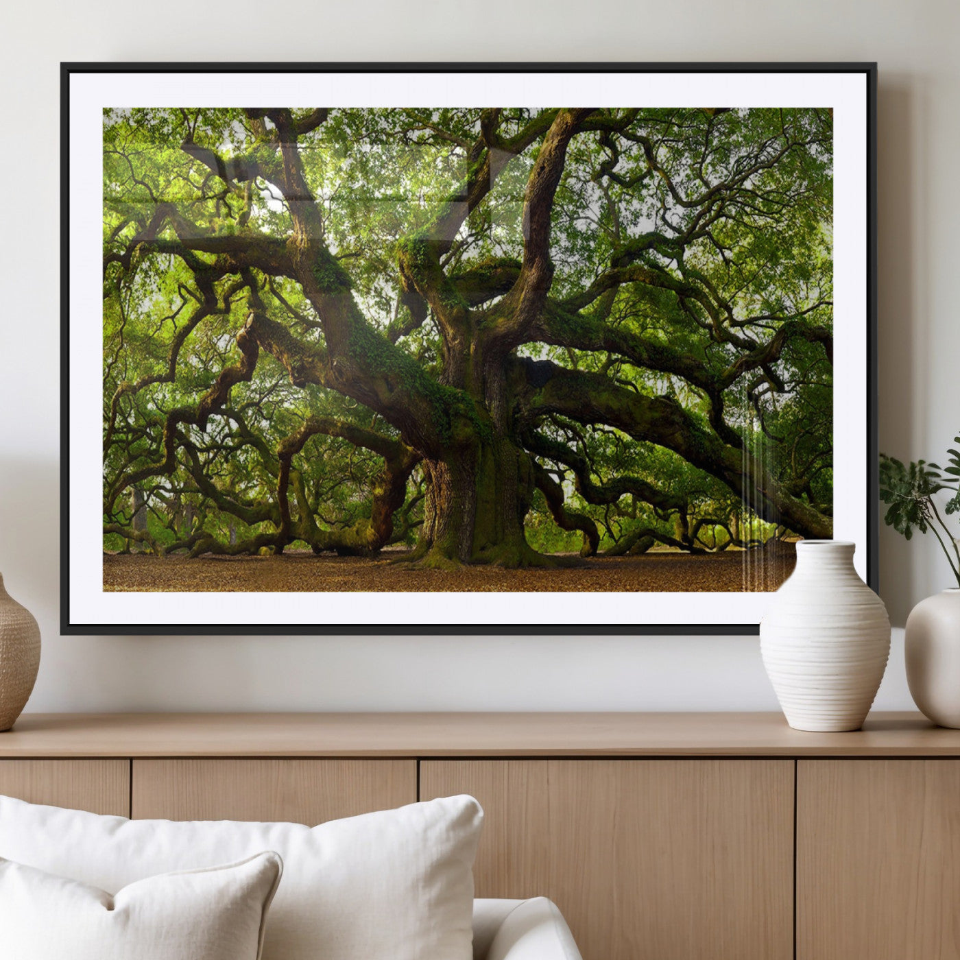 MGC-FP-36x24 - Angel Oak Tree Wall Art Canvas Print | Forest Tree Nature Photography Print on Canvas | Large
