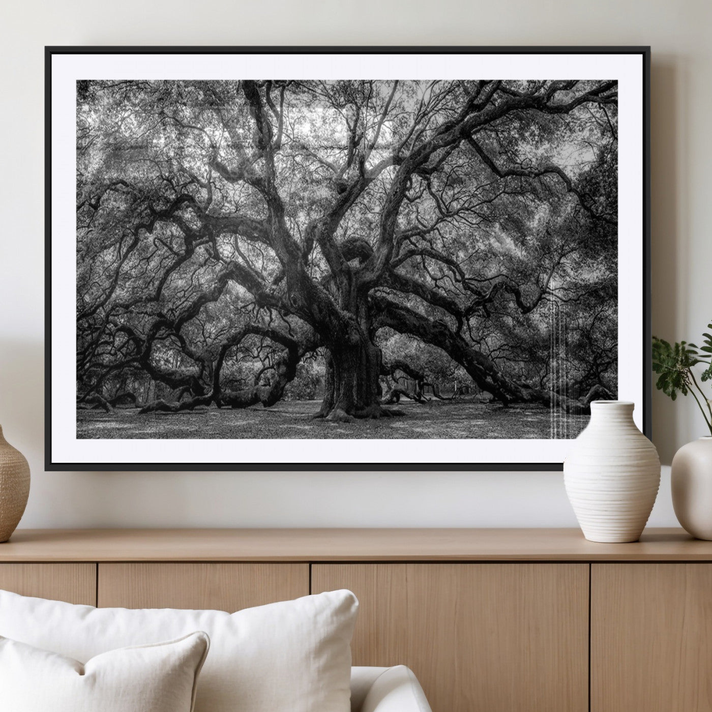 MGC-FP-36x24 - Black and White Old Angel Oak Tree Wall Art Canvas Print