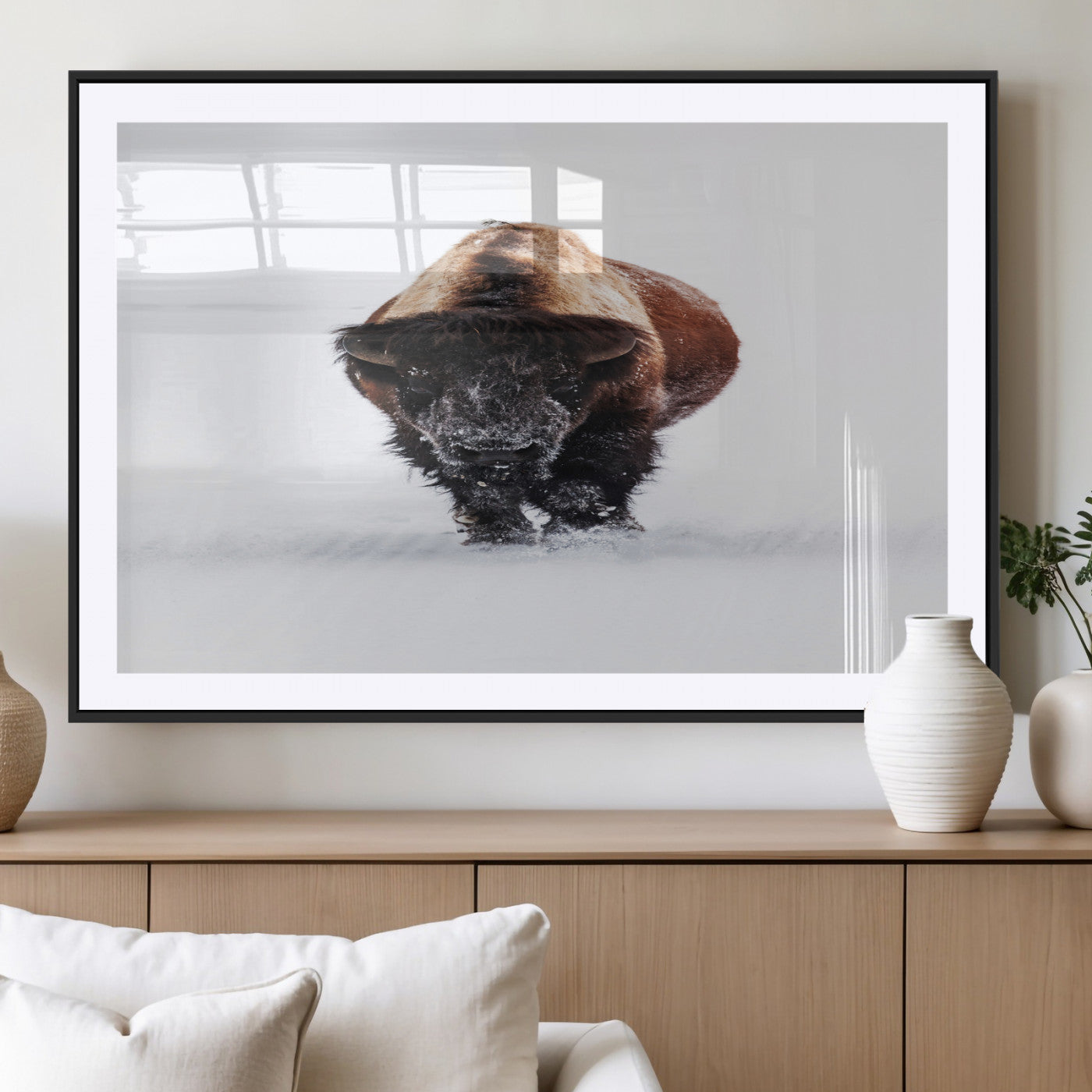 Front view of a strong bison walking in deep snow, isolated white background, perfect for rustic or lodge-style home decor.