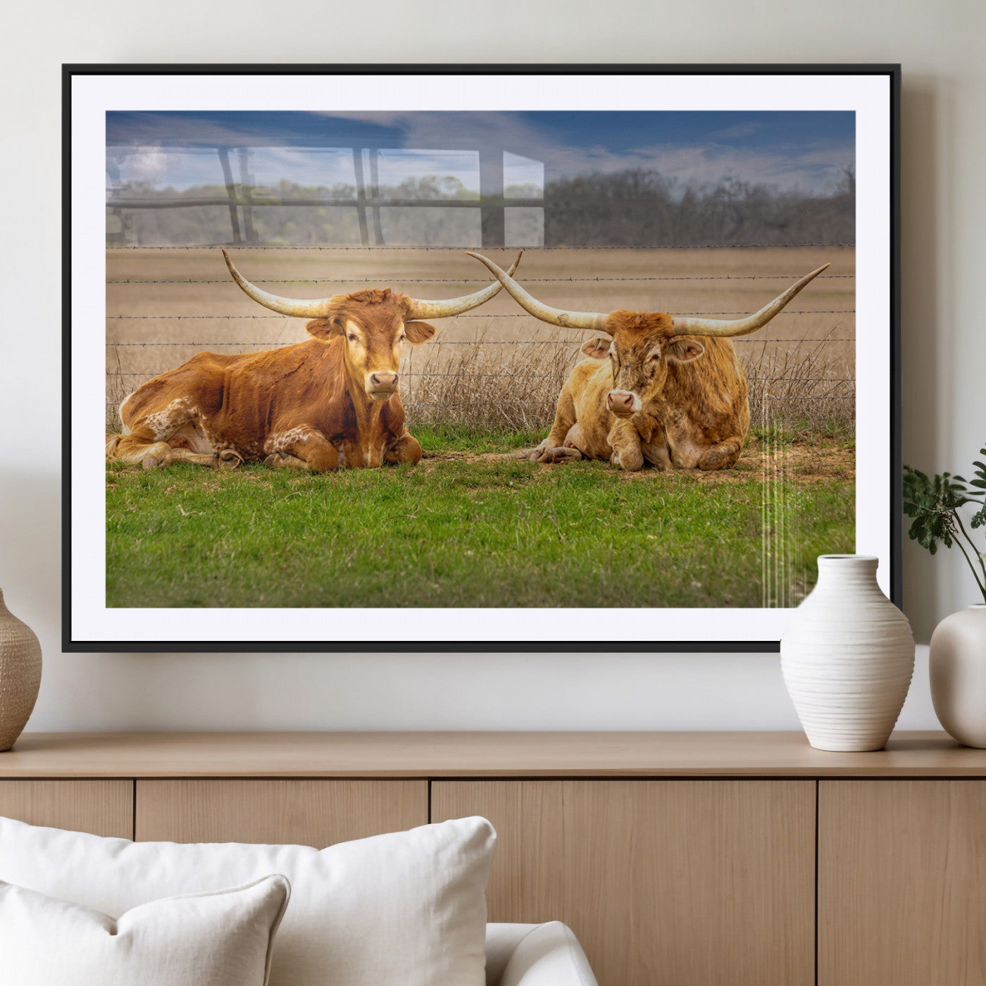 Two longhorn cattle resting on green grass in a rural field with a barbed wire fence and blurred trees in the background.