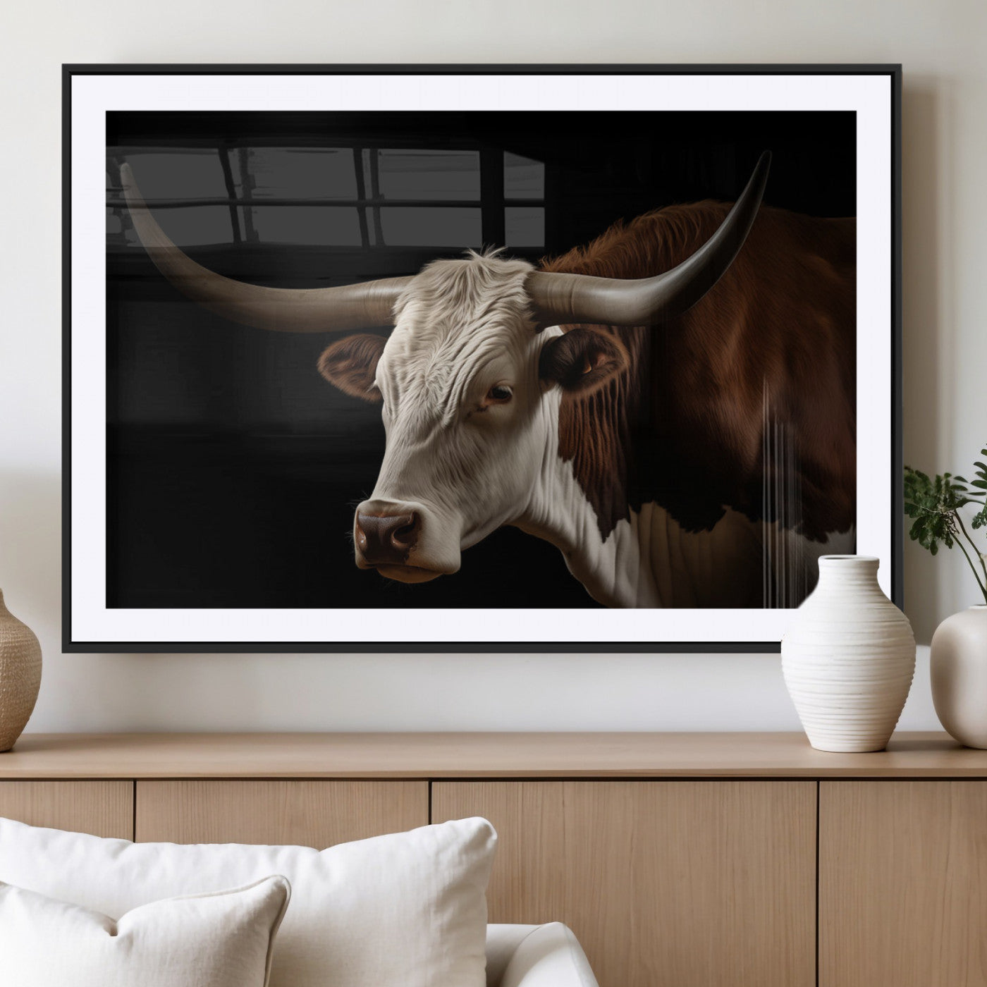 "Close-up of a brown and white longhorn cow with prominent curved horns against a black background."