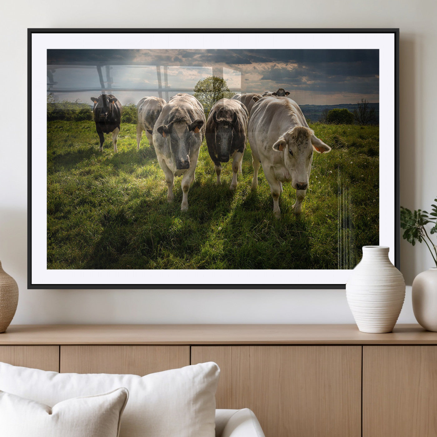 67277447-MGC-FP-40x30_Black-Grazing Cattle Herd Pasture Green Field Livestock Natural Farm Animals Rural Life Outdoor Wall Art Canvas Print