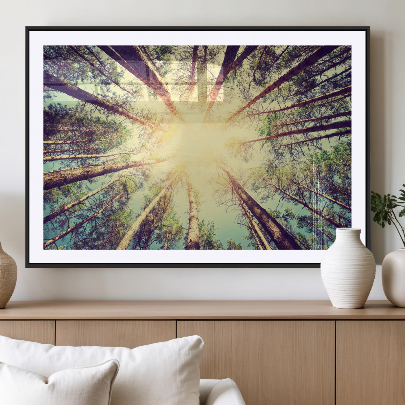MGC-FP-36x24 - Tree and Sunshine Canvas Print