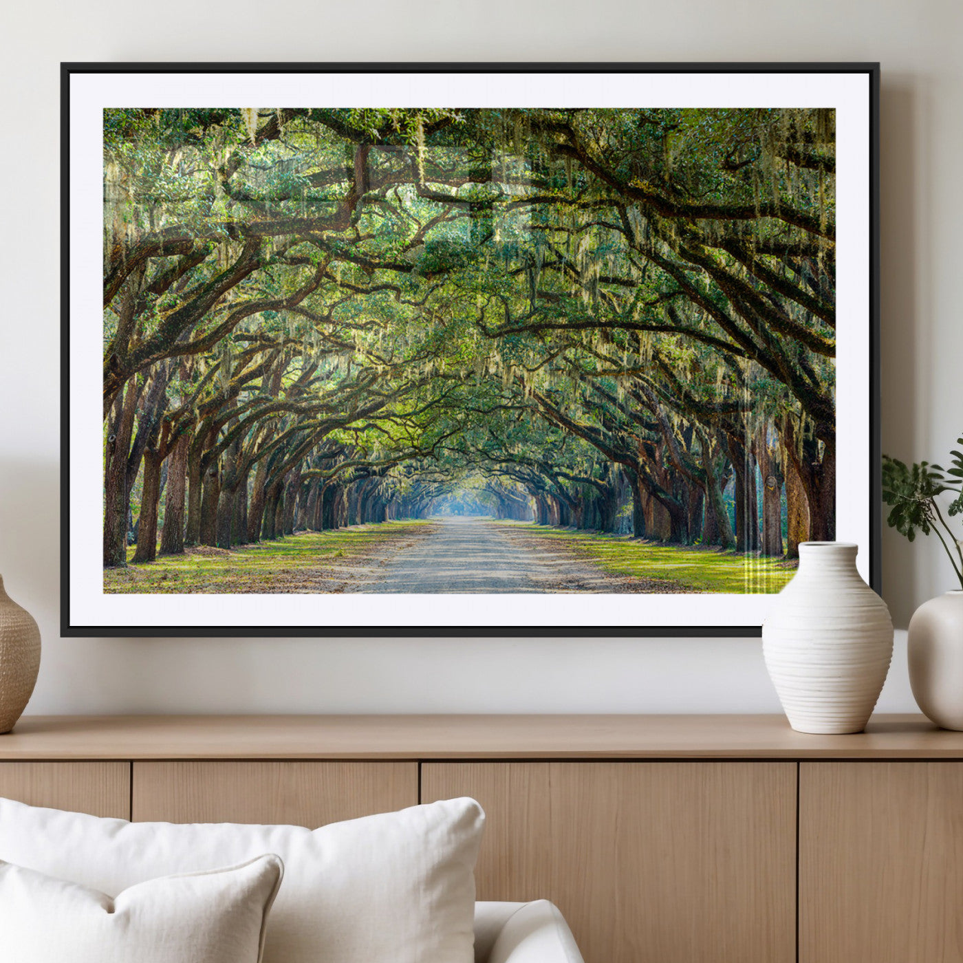 MGC-FP-36x24 - Wormsloe State Plantation Driveway Wall Art Canvas Print