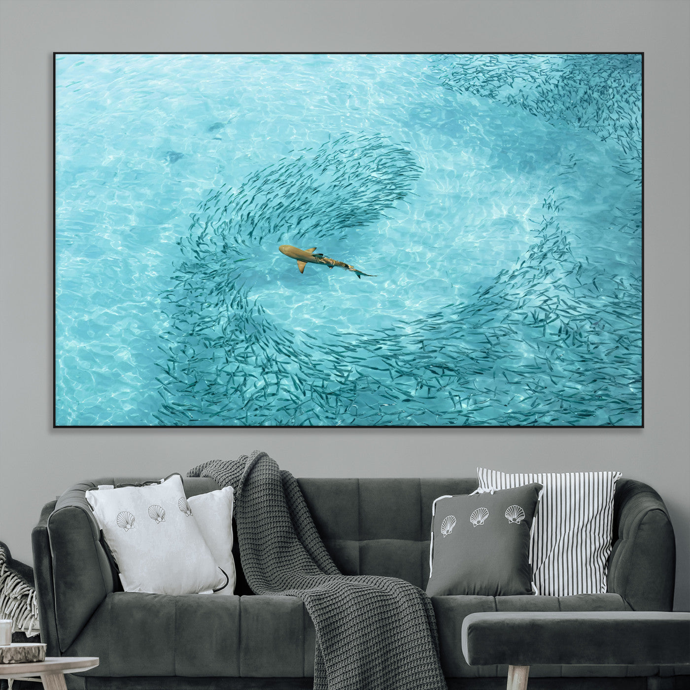Aerial view of a shark swimming through a swirl of fish in clear turquoise waters, perfect for calm coastal or beach house decor.