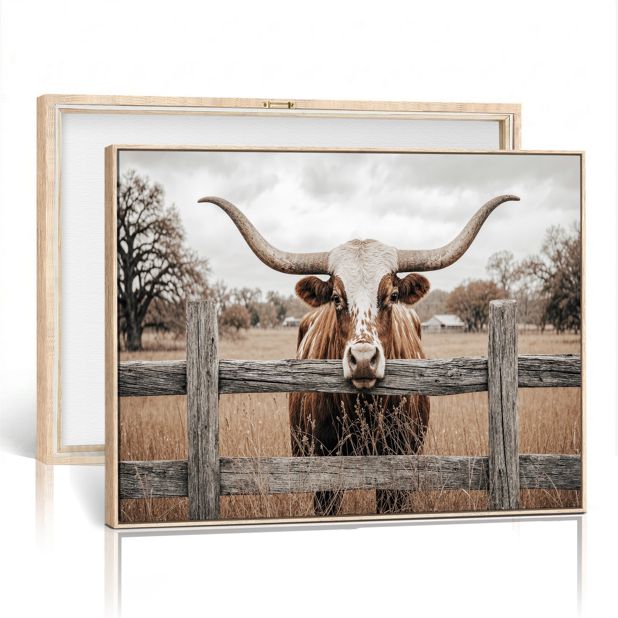 59378683N-MGV-CV-36X24 - Farmhouse Texas Longhorn Bull Canvas Wall Art, Western Ranch Cattle Photography Print, Rustic Barn Cowboy Decor Artwork