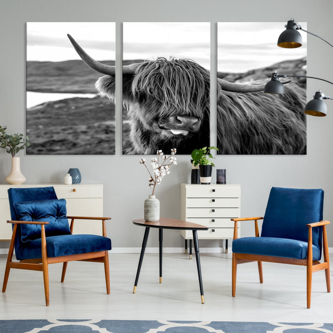 Scottish Highland Cow Cattle Art Print Farmhouse Wall Art Canvas Print