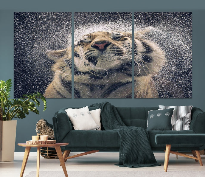 Tigre et pluie Impression sur toile