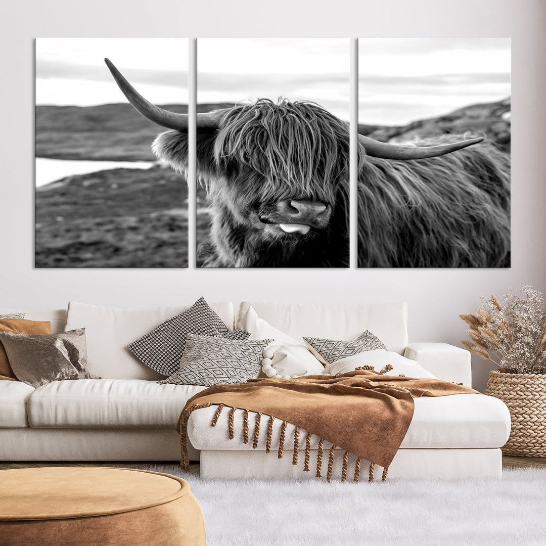 Scottish Highland Cow Cattle Art Print Farmhouse Wall Art Canvas Print