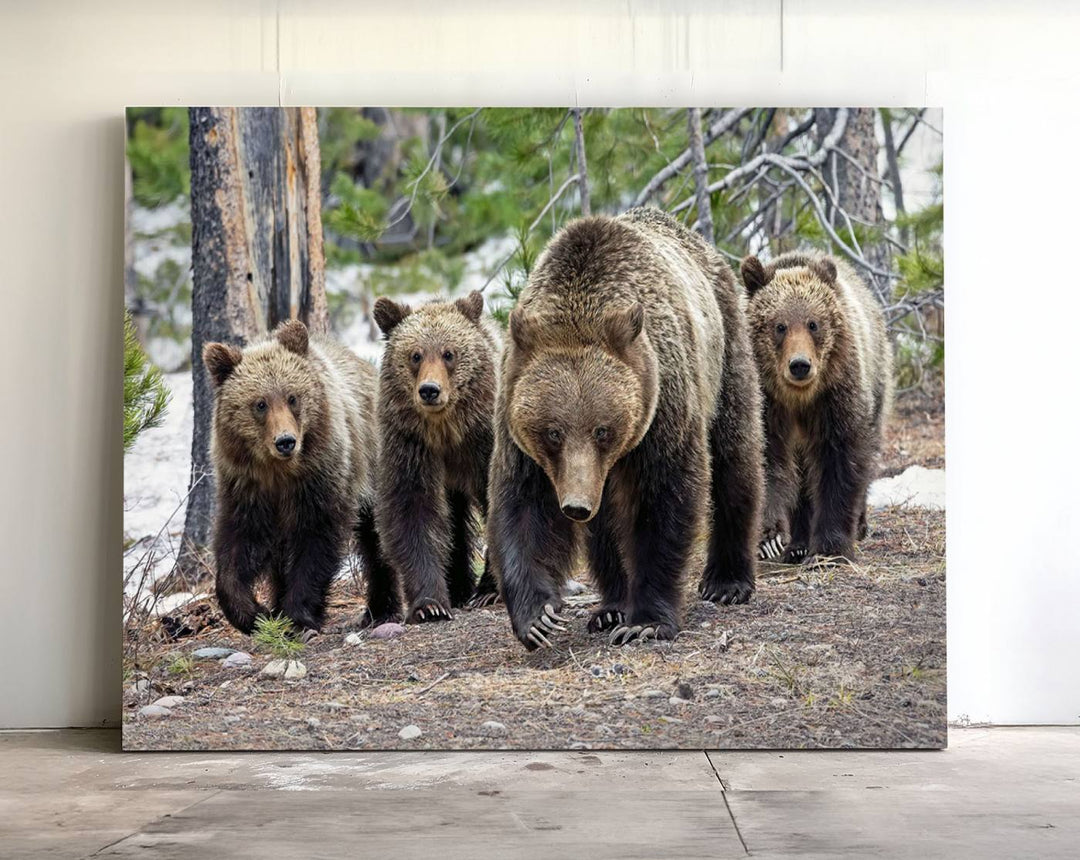 The wall art, a breathtaking canvas print titled "Queen of the Tetons," features 399 Grizzly Bear Cubs majestically captured in a forest setting. It is printed on premium canvas and handmade in the USA.