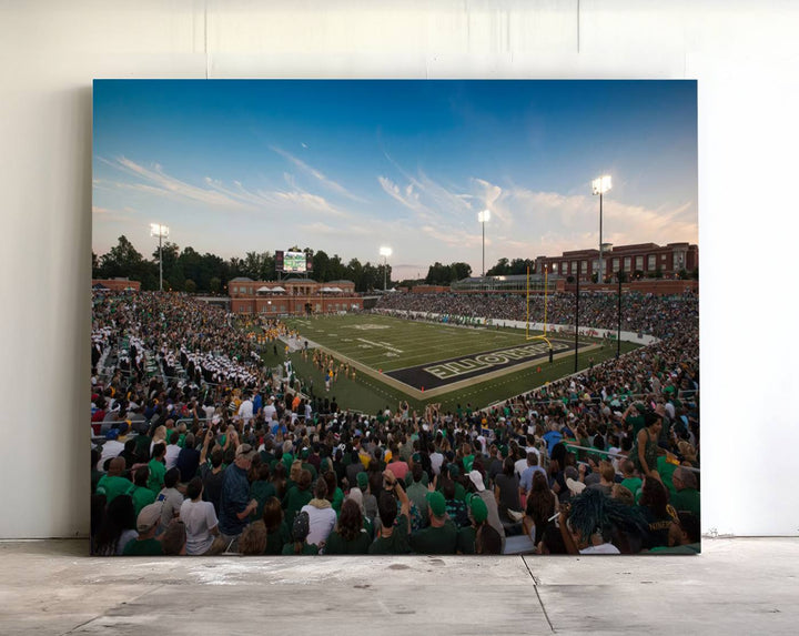 Wall art: University of Charlotte 49ers Football Team at Jerry Richardson Stadium.