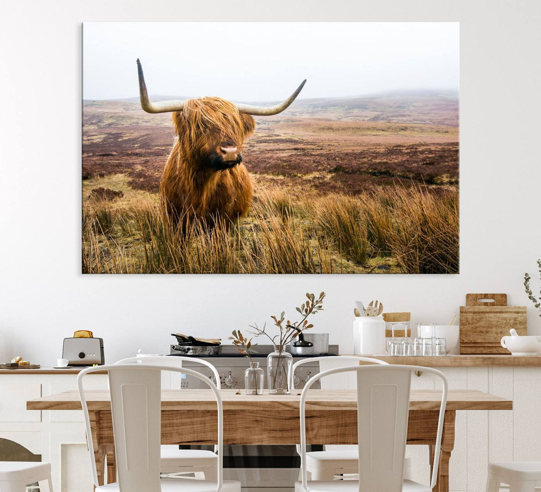 A ready-to-hang Scottish Highland Cow Cattle Canvas Wall Art.