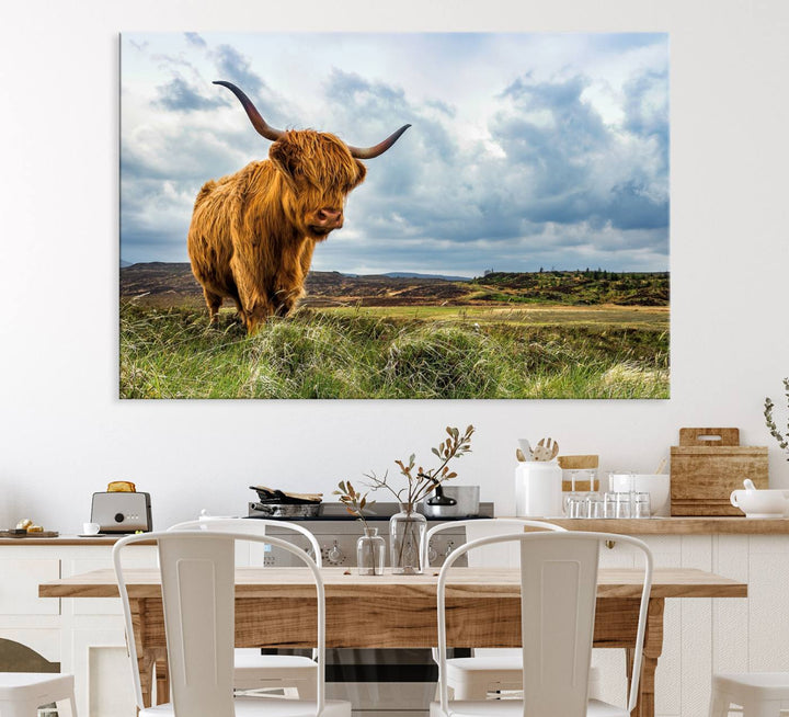 Highland Cattle Canvas Print: A minimalistic touch for any setting.