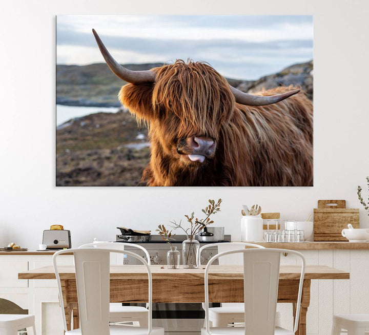 The Cuddly Highland Cow Canvas hangs, adding charm with its shaggy elegance.