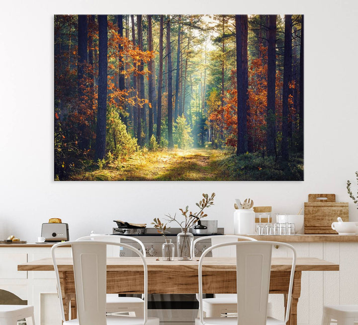 The Dark Forest canvas wall art showcases a captivating forest landscape.