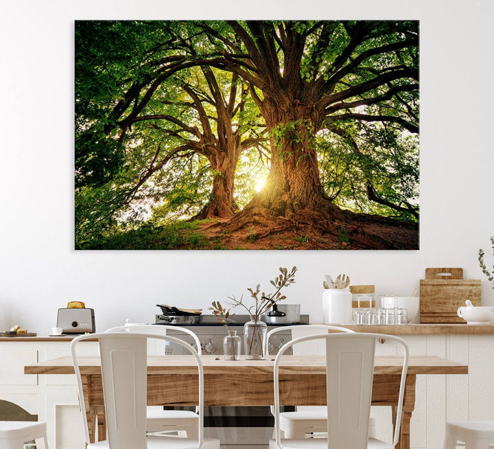 Majestic Ancient Tree Wall Art is illuminated by sunlit forest rays.