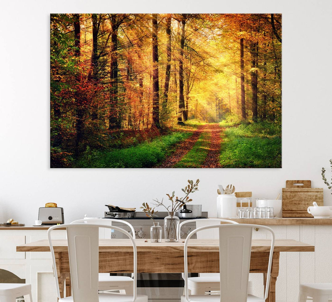 The Sunlight Through Trees Wall Art Canvas Print showcases a sunlit autumn forest and includes UV protection to ensure lasting vibrance.