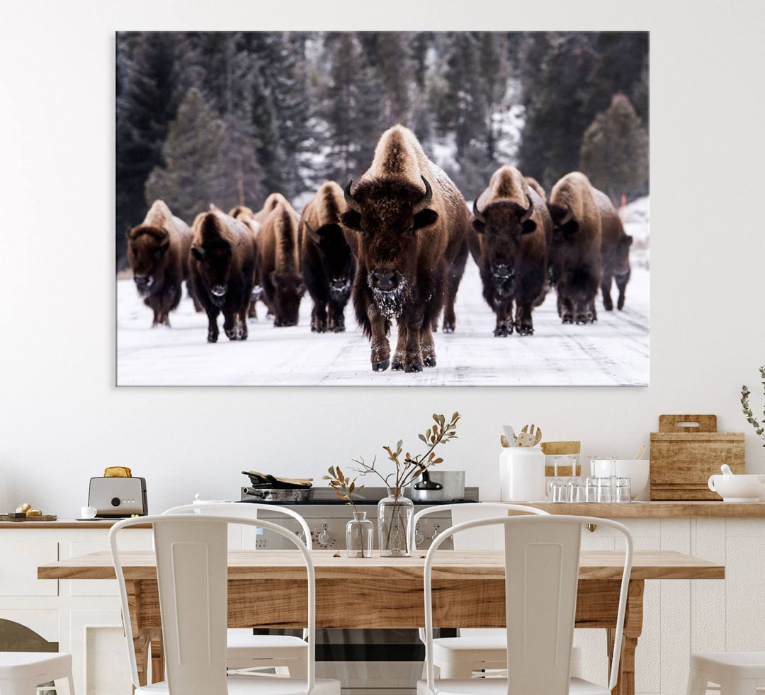 Bison Herd Canvas Wall Art.