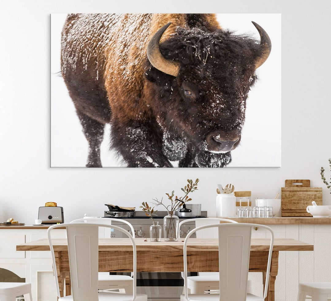 Bison Wall Art Canvas.