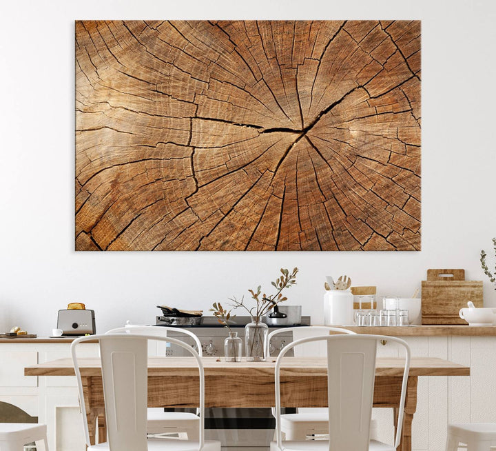 Tree Ring Canvas Art decorates a textured wall.