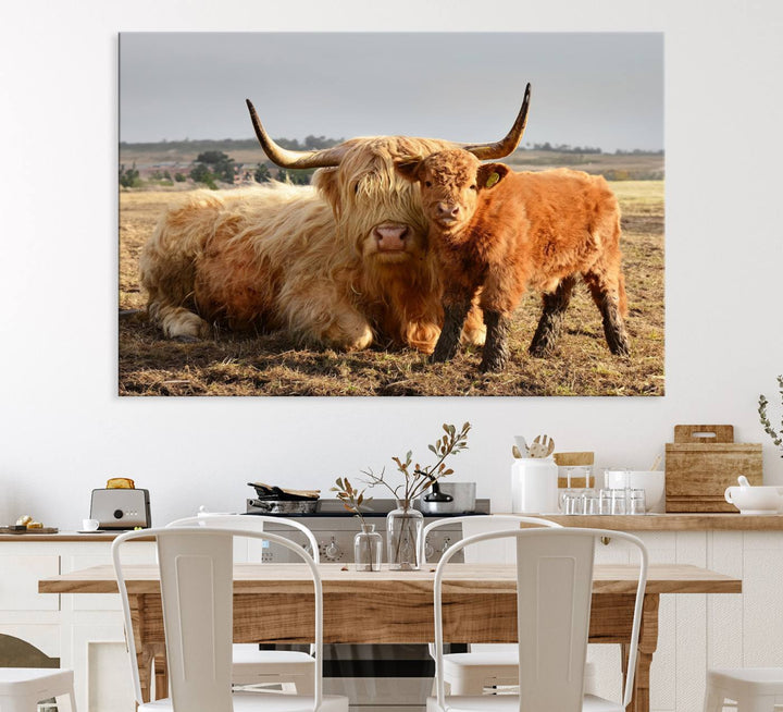 Highland Cow Canvas: a light brown cow and calf in the field, ideal farmhouse decor.