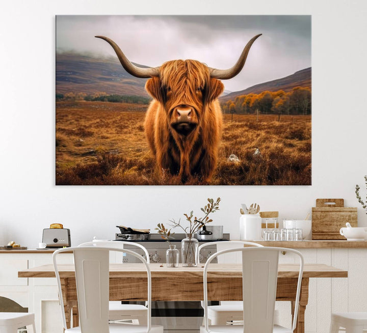 Highland Cow Longhorn Canvas Print, framed, on a wooden wall.