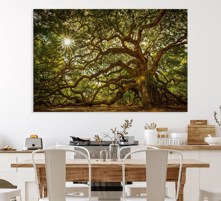 The Ancient Angel Oak Tree Art Sunburst Canvas Print, a framed triptych, serves as wall art.