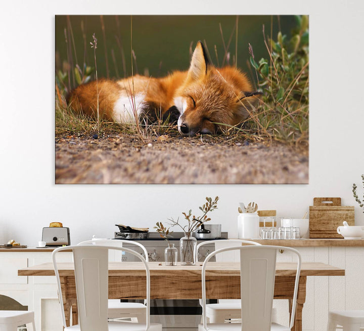 The Sleeping Fox Wall Art Canvas Print is ideal for farmhouse decor.