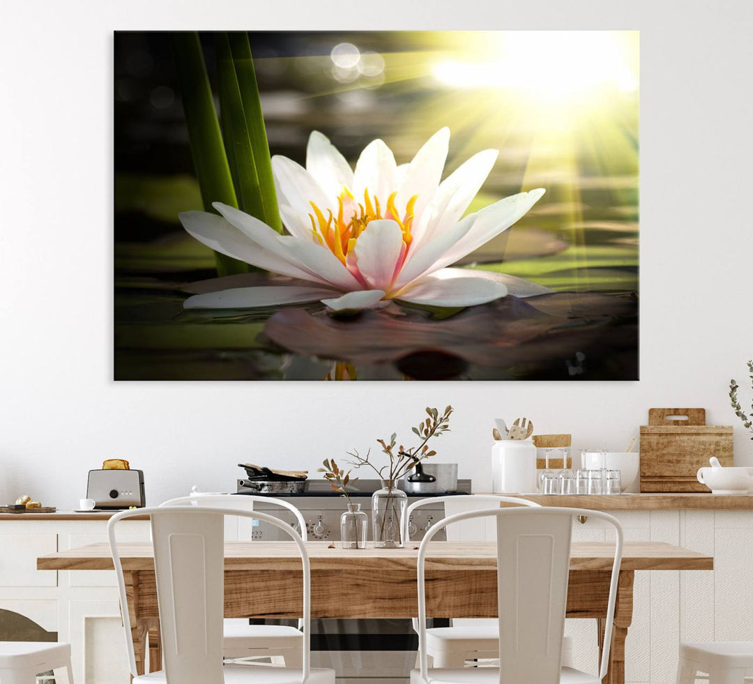 The Lotus Flower Wall Art Canvas Print showcases a white water lily with a yellow center floating gracefully in sunlight.