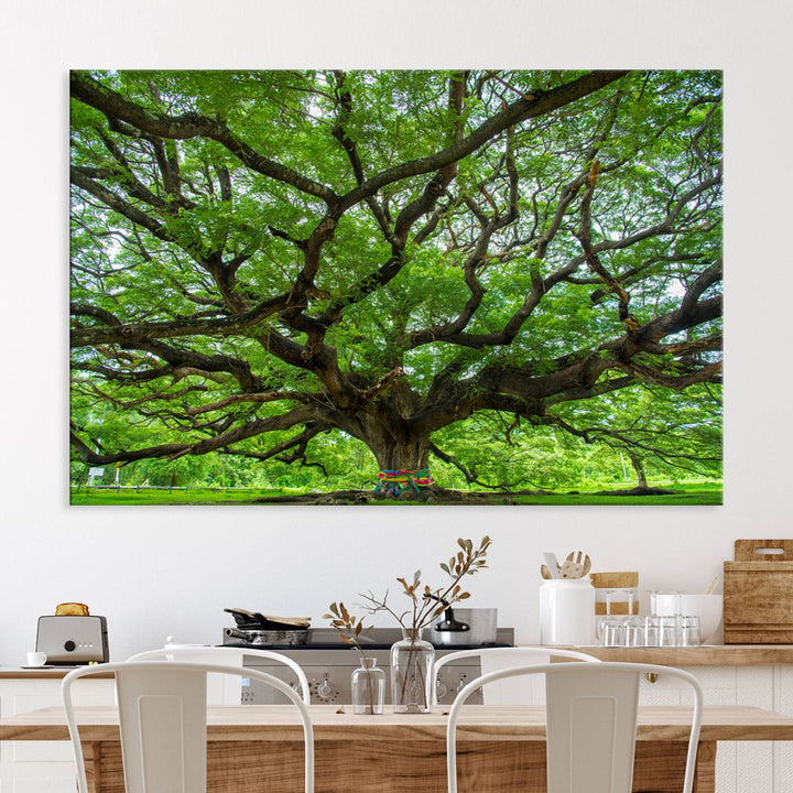 Oak Tree Wall Art Print, Forest Canvas Wall Art for Home and Office, Framed Angel Oak Tree Canvas Art Printing