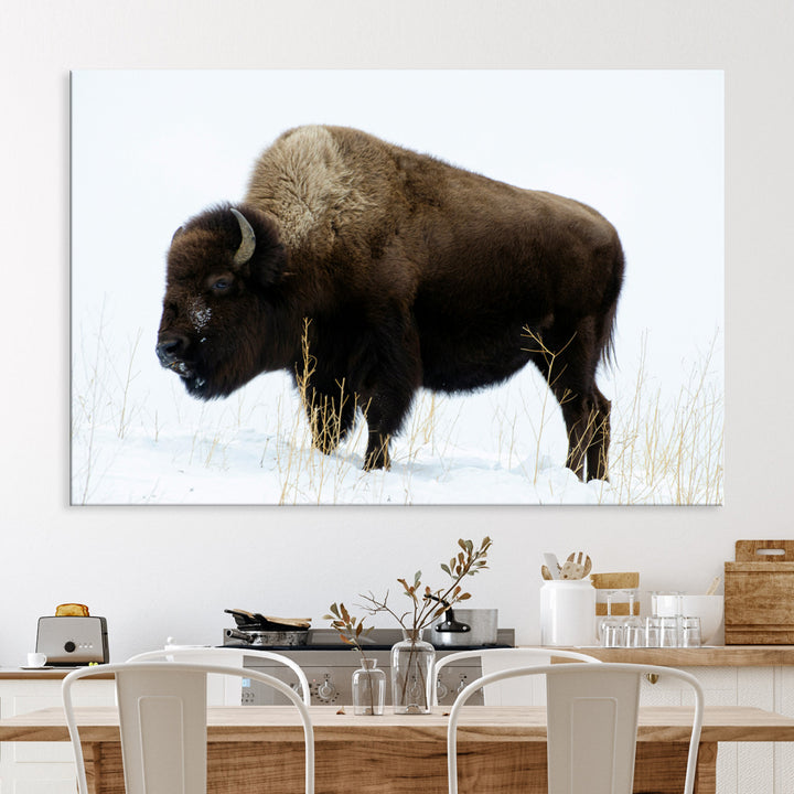 Bison Photography Wall Art Canvas Print, Framed Western Wildlife Art Picture Print, Buffalo On Snow Perfect Western Decor Artwork