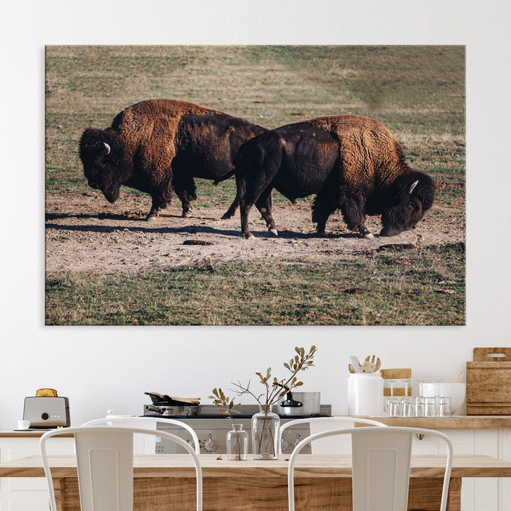 Bison Photography Wall Art Canvas Print, Framed Western Wildlife Art Picture Print, Modern Ranch Perfect Western Rustic Decor Artwork