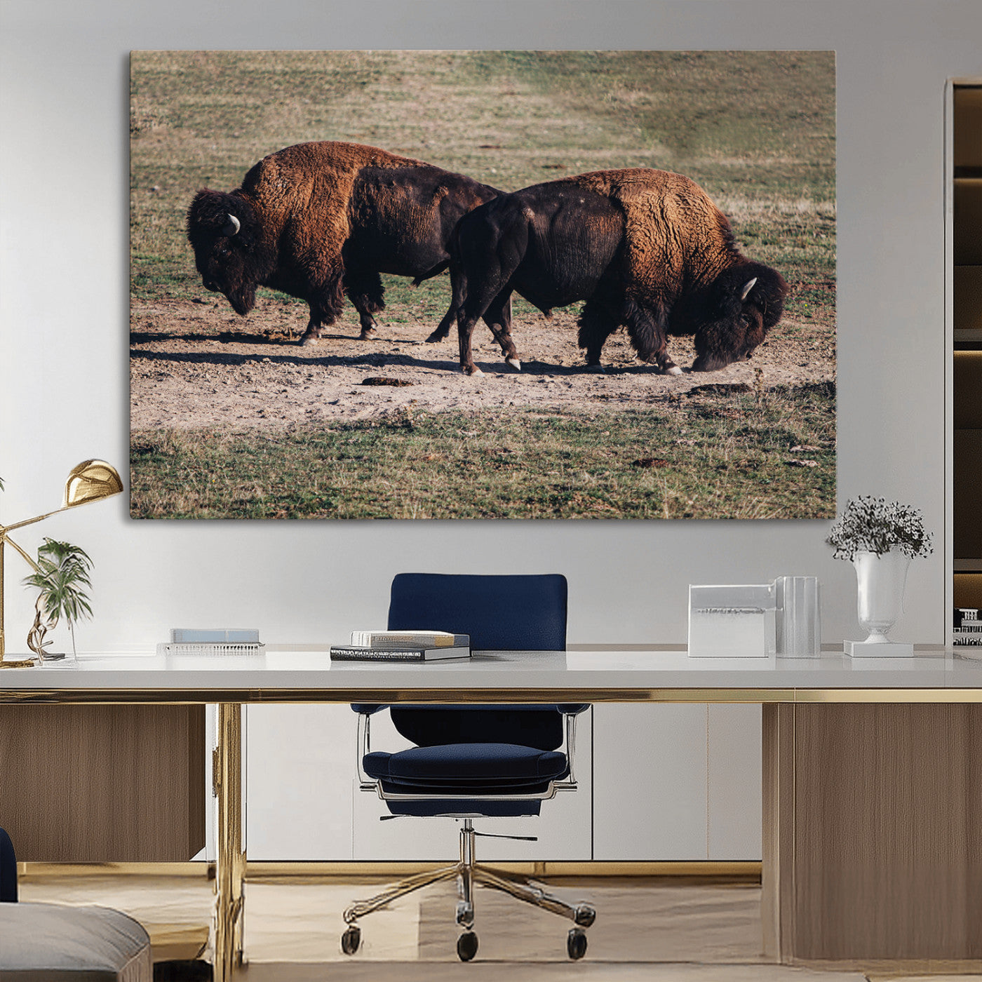 Two bison grazing in an open prairie with dry grass under the sunlight, creating a rustic and Western wildlife scene.