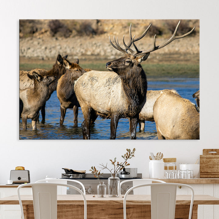 Wild Elk Photography Wall Art Canvas Print, Framed Neutral Wildlife Scene Art Picture Print, Rustic Animal Print Perfect Rustic Farmhouse