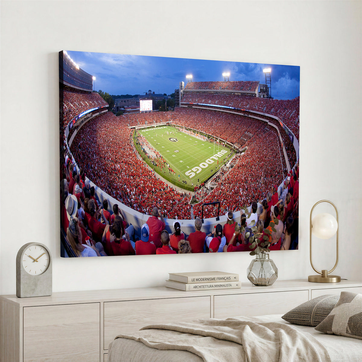 10244378-MGV-CV-36X24 - Dooley Stadium Wall Art, Sports Arena Canvas Print, Dooley Field, Home Bar Wall Decor