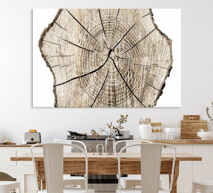 The Abstract Wood Tree Ring Wall Art set of 3 adds a minimalist touch to the space.