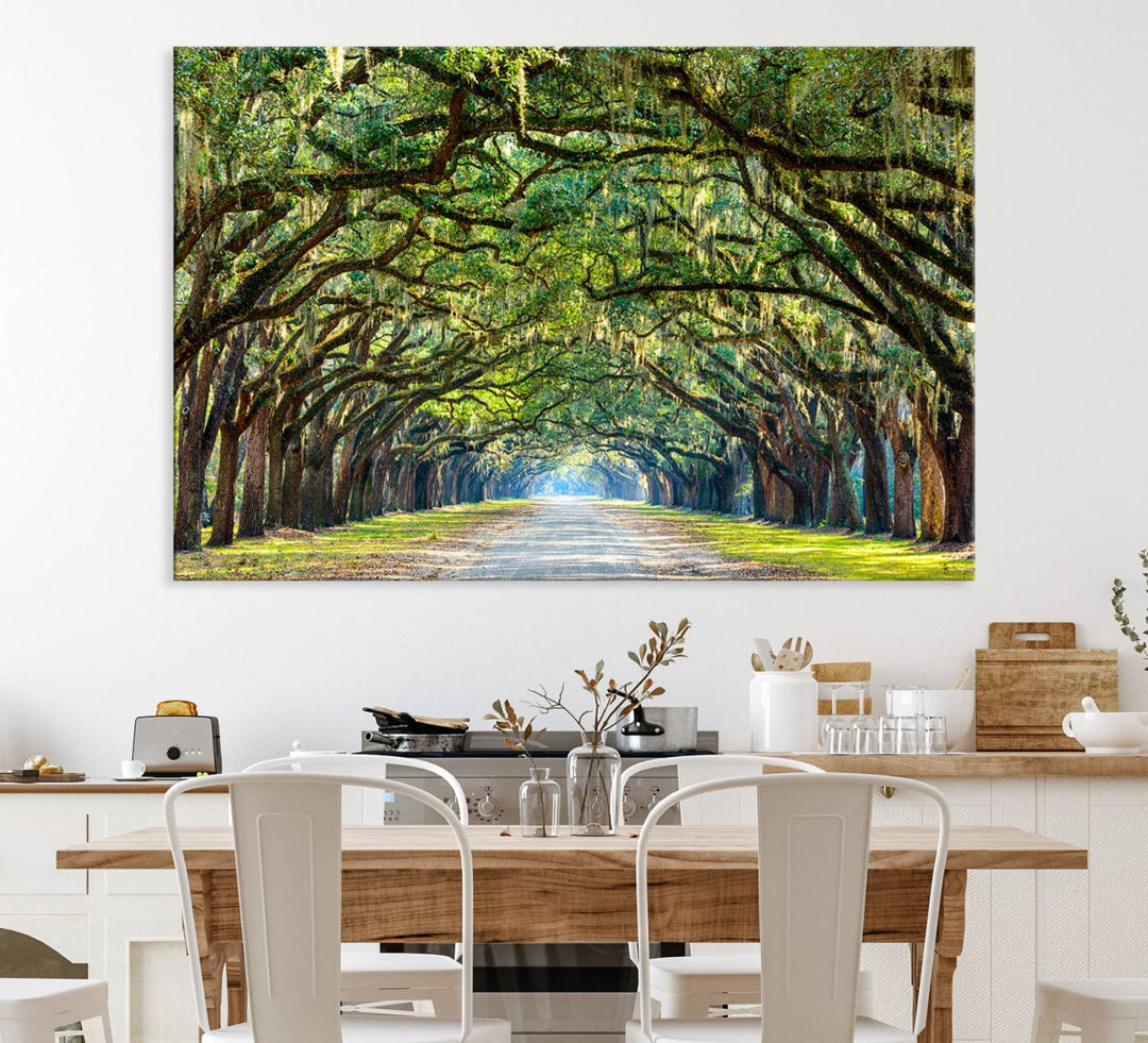 Wormsloe State Plantation Driveway Wall Art shines with Southern charm.