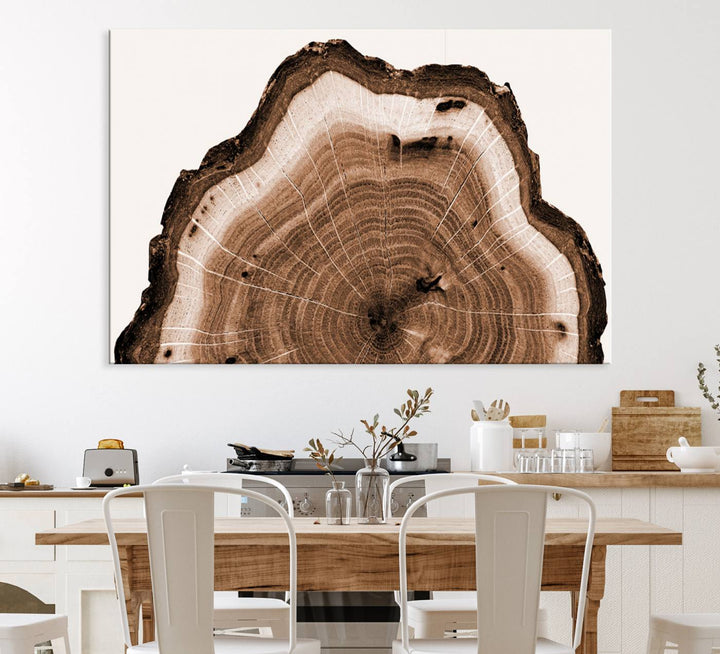 Close-up of the Rustic Wood Rings Wall Art featuring detailed tree rings and natural texture on a plain white background.